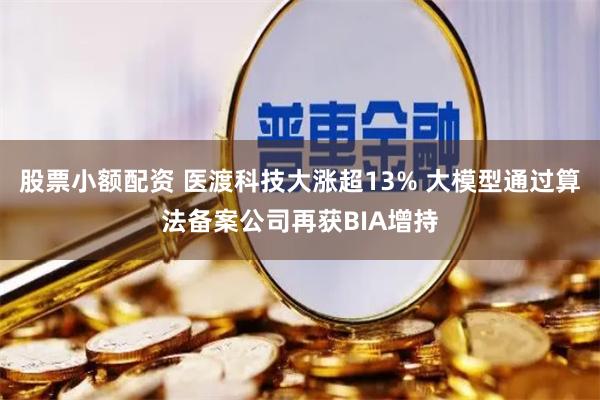 股票小额配资 医渡科技大涨超13% 大模型通过算法备案公司再获BIA增持