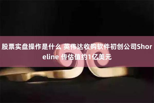 股票实盘操作是什么 英伟达收购软件初创公司Shoreline 传估值约1亿美元
