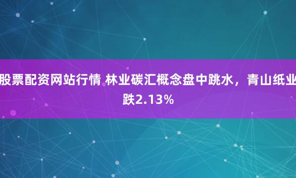 股票配资网站行情 林业碳汇概念盘中跳水，青山纸业跌2.13%